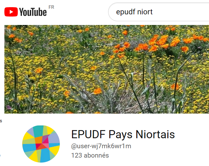 https://pays-niortais.epudf.org/wp-content/uploads/sites/107/2022/12/YOUtube.png